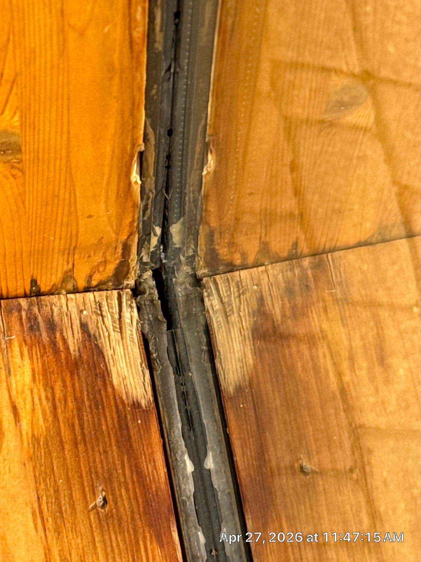 Dark discoloration and decay visible on real damaged wood
