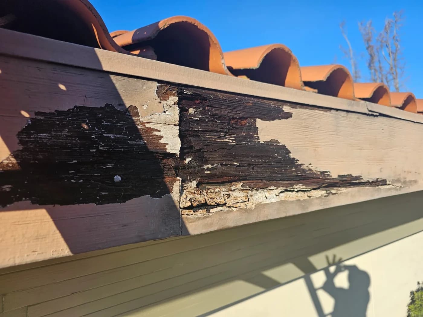 Peeling finish and weathered exterior wood trim before repair
