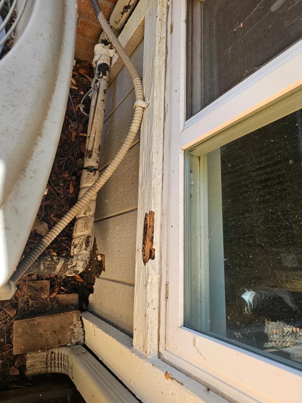Missing paint and damaged exterior window trim beside exposed piping