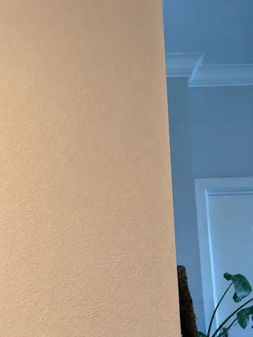 Drywall Patch up — completed