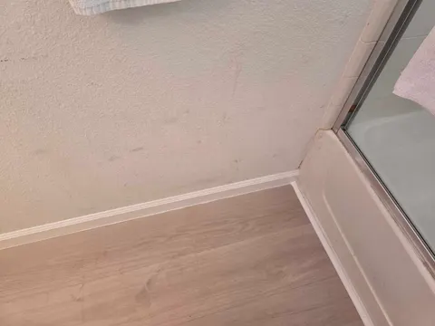 Bathroom Flooring & Baseboard Replacement and toilet replacement — completed