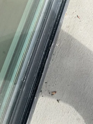 Screen door Installation — before