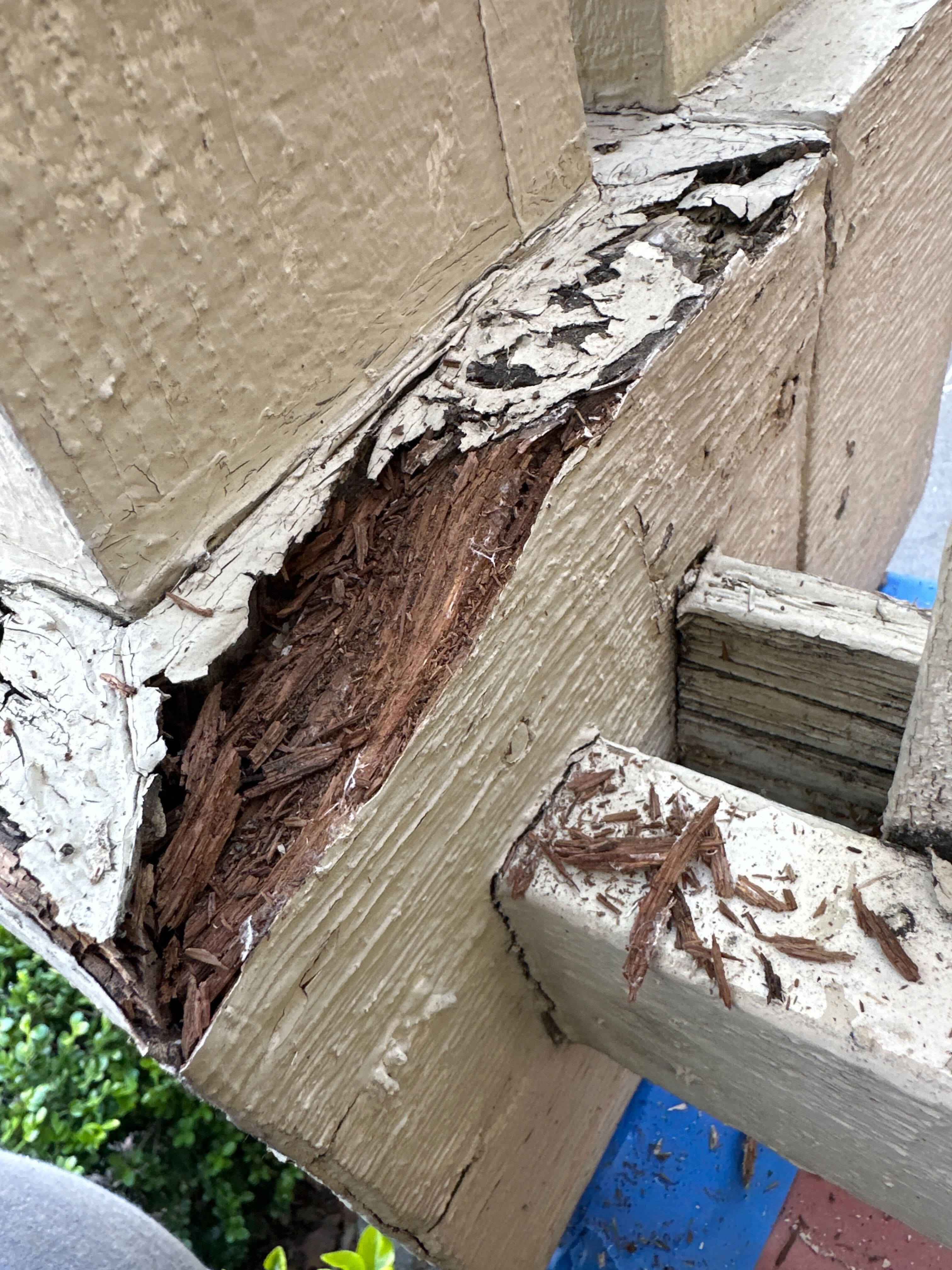 Bathroom floor opened to expose damaged subfloor