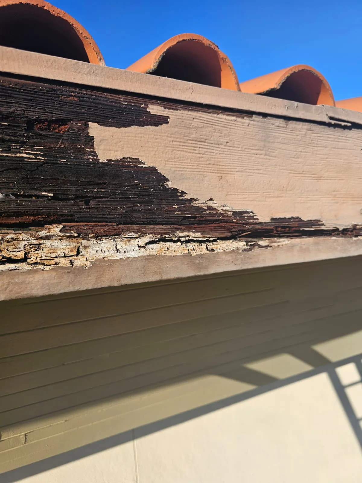 Opened, deteriorated fascia wood beneath roof tiles in Milpitas