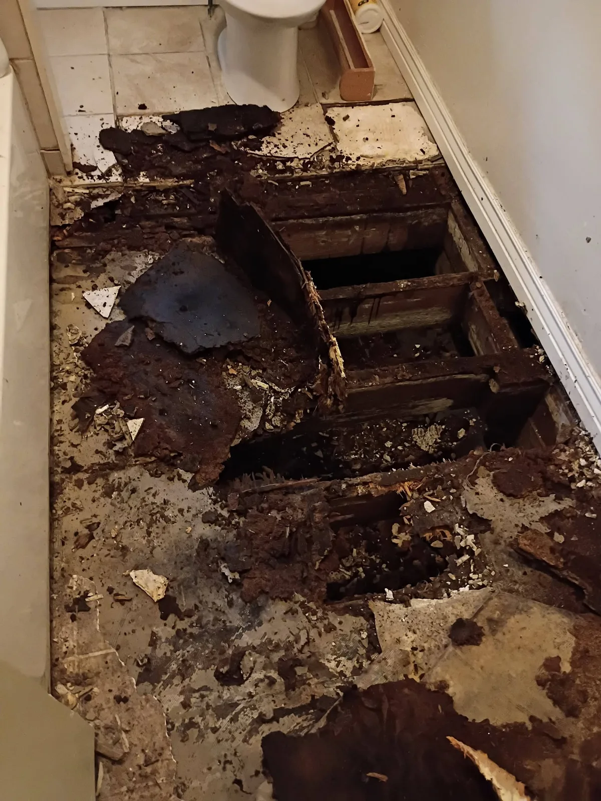 Severe subfloor deterioration and exposed floor joists; shared company example, local attribution unverified