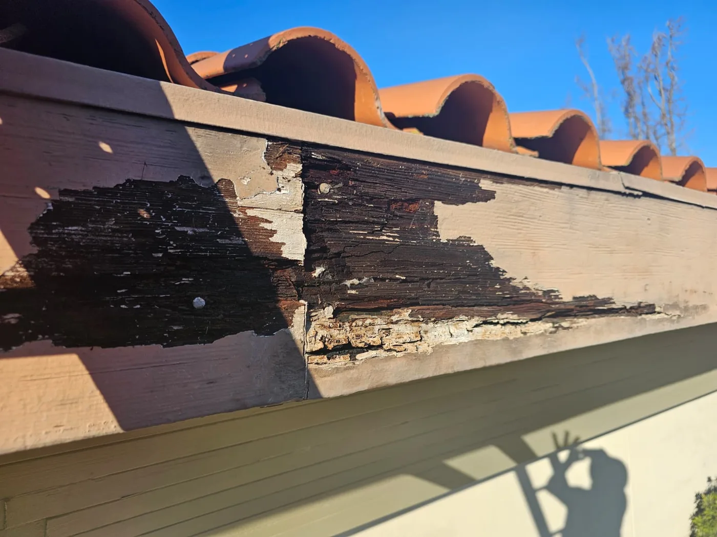 Flaking finish and damaged fascia beneath a roof edge; shared company example, local attribution unverified