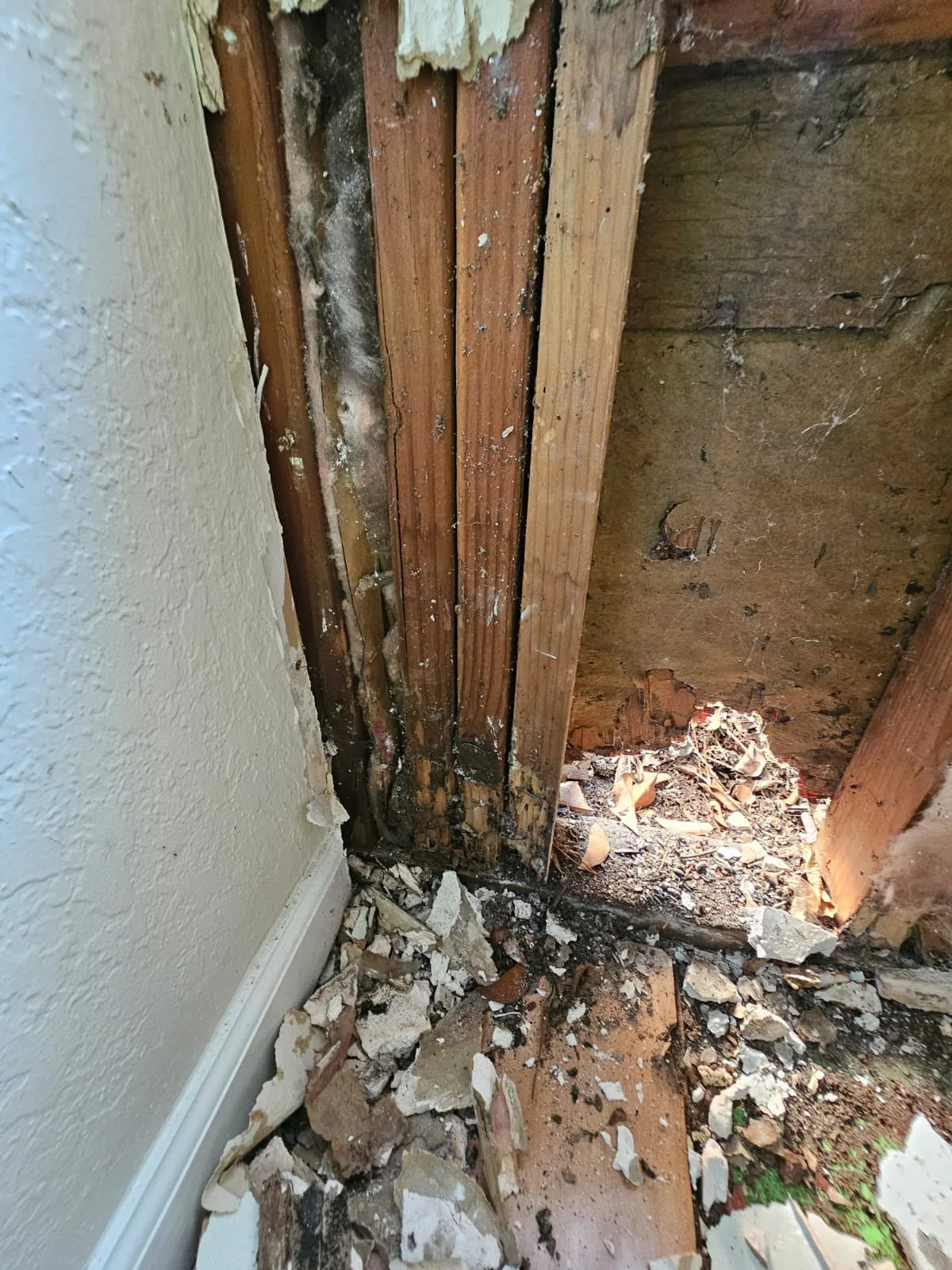 Crumbling timber exposed at the bottom of a wall