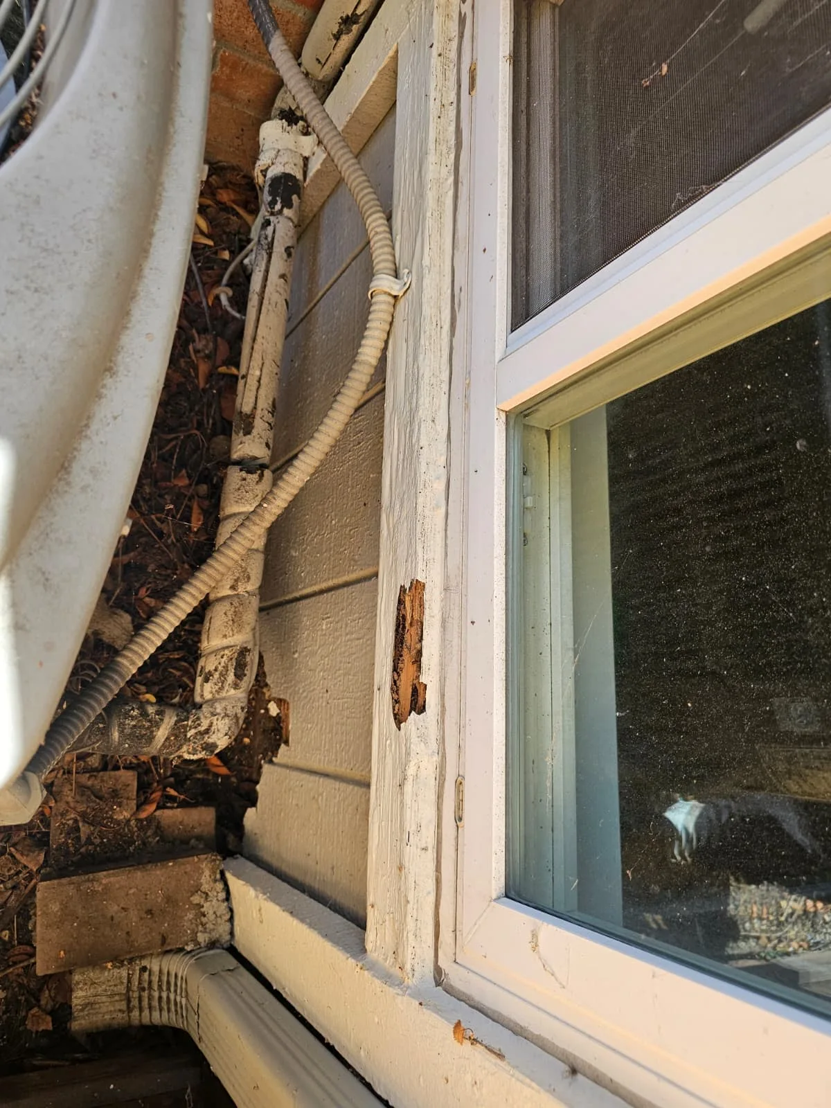 Damaged painted exterior window trim beside a screened window; shared company example, local attribution unverified